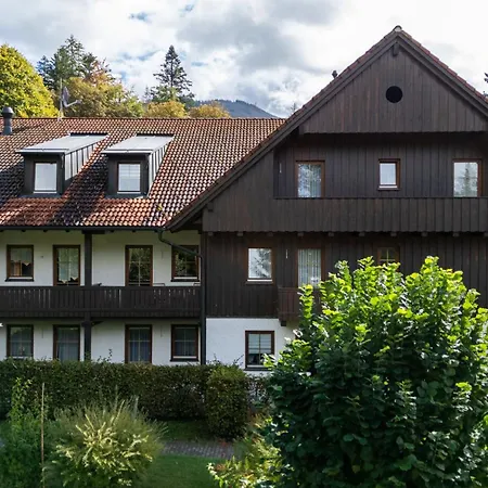 Grosser Arber, Wandern & Sauna, Gemuetliches Apartment Im Nationalpark Bayerischen Wald Lindberg Exterior foto