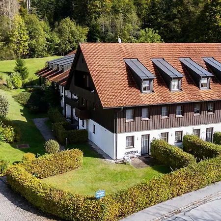Grosser Arber, Wandern & Sauna, Gemuetliches Apartment Im Nationalpark Bayerischen Wald Lindberg Exterior foto
