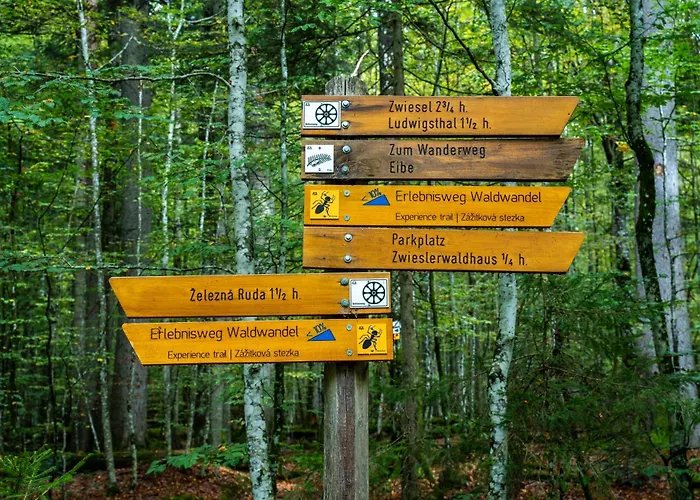 Grosser Arber, Wandern & Sauna, Gemuetliches Apartment Im Nationalpark Bayerischen Wald